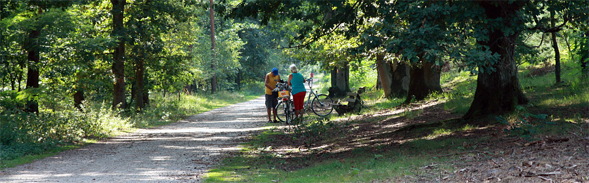 Teverener Heide Geilenkirchen Naturschutzgebiet