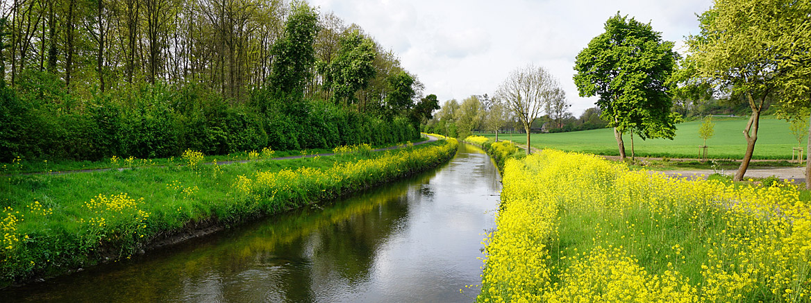 Flusslauf Wurm bei Geilenkirchen Wurmtal