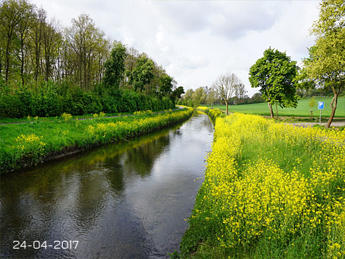 Geilenkirchen Kartoffel-Legemaschine