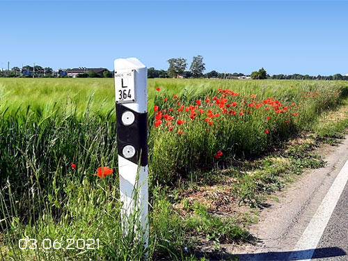Blühstreifen Lindern Geilenkirchen