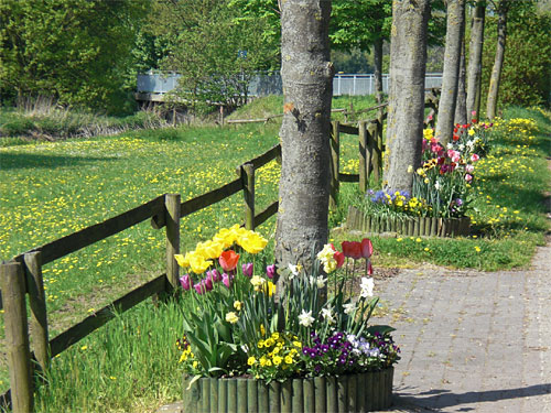 Geilenkirchen Frühling