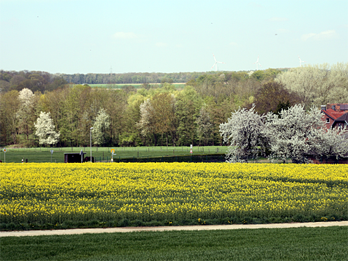 Geilenkirchen Frühling in Würm