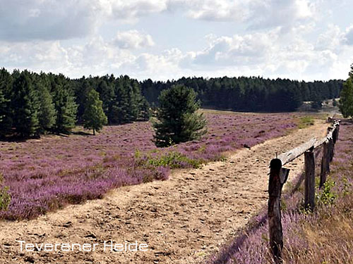 Geilenkirchen Teverener Heide