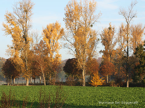 Herbst Geilenkirchen Süggerath
