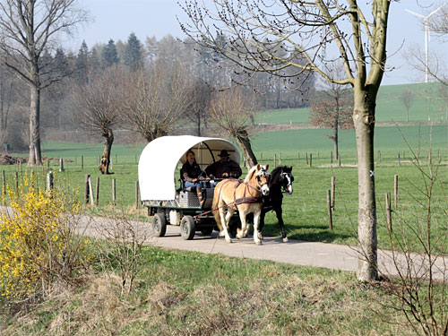 Frühling Wurmtal Geilenkirchen