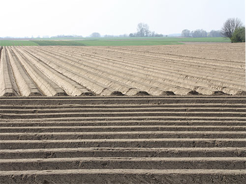 Geilenkirchen Kartoffelacker