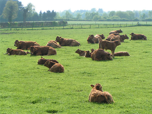 Geilenkirchen Landwirtschaft