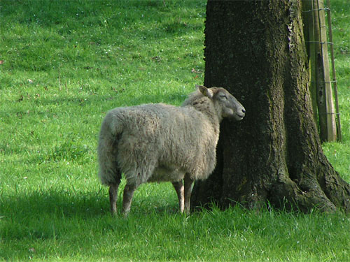 Geilenkirchen Landwirtschaft