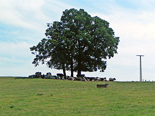 Geilenkirchen Geologie Kulturlandschaft