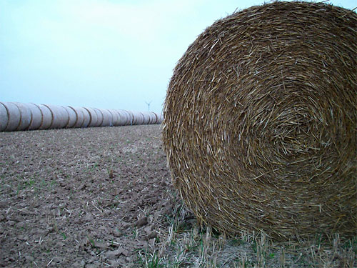 Landwirtschaft