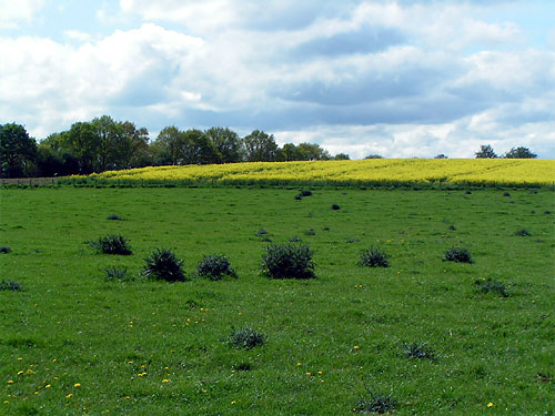 Geilenkirchen Landwirtschaft