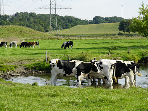 Geilenkirchen Landwirtschaft