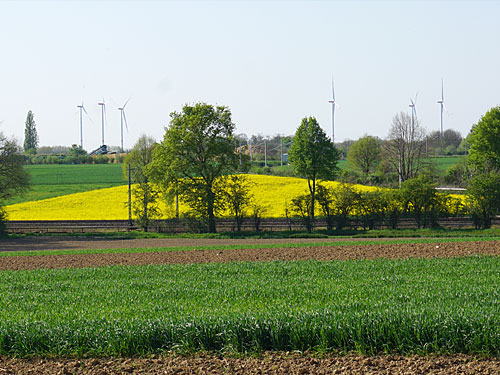 Landwirtschaft Leiffarth