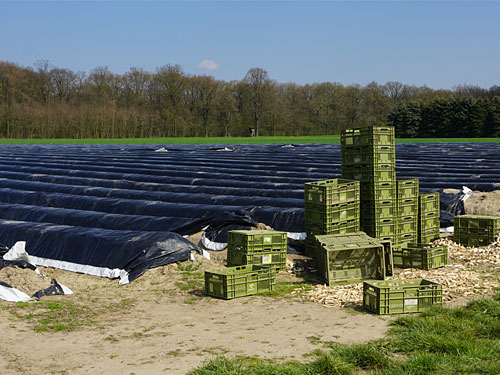 Geilenkirchen Erntezeit
