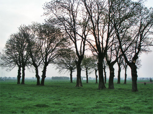 Landwirtschaft