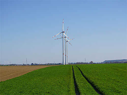 Landwirtschaft Lindern