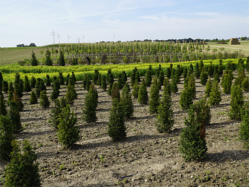Landwirtschaft Geilenkirchen