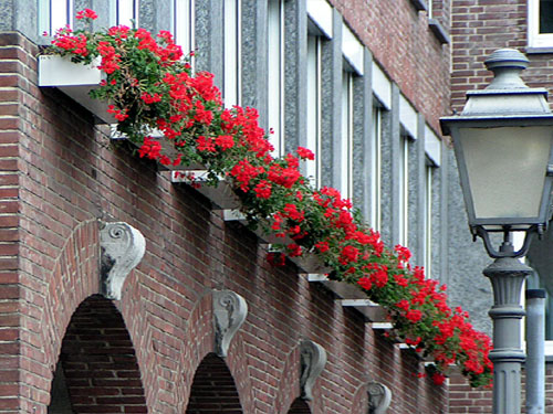 Rathaus Geilenkirchen