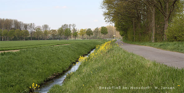 Wurm bei Geilenkirchen Beeckfließ