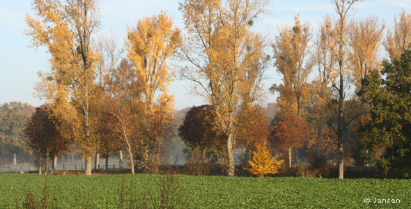 Geilenkirchen Jahreszeiten Herbst