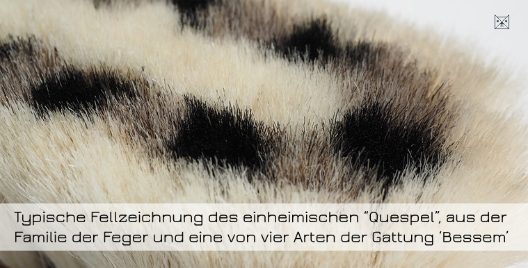 Handfeger Dialekt Mundart Geilenkirchen Plattdeutsch