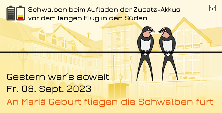 Schwalben