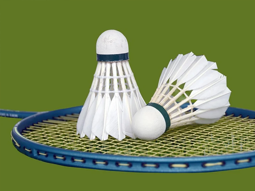 Badminton