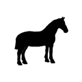 Bürsgens Reitsport Reithalle Müllendorf
