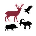 Wildpark Gangelt