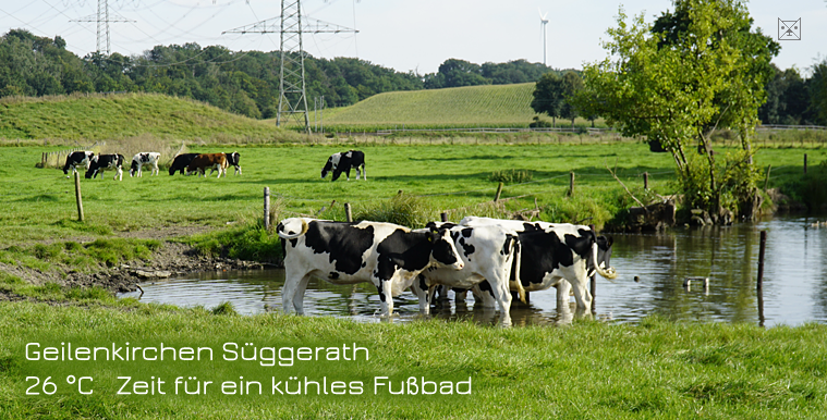 Geilenkirchen kühles Fußbad