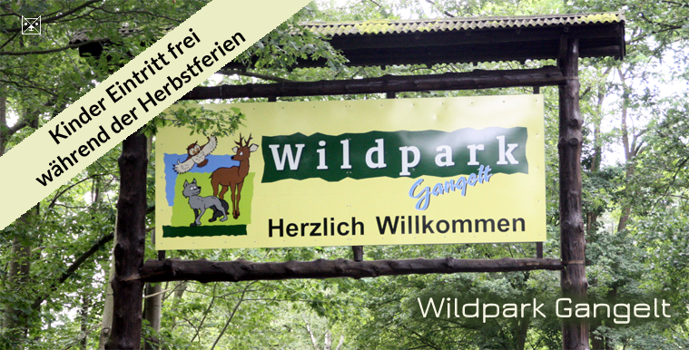 Geilenkirchen Ferienangebot