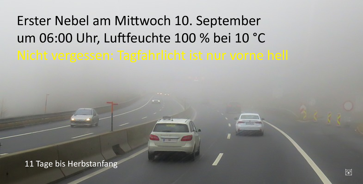 Nebel Wetter