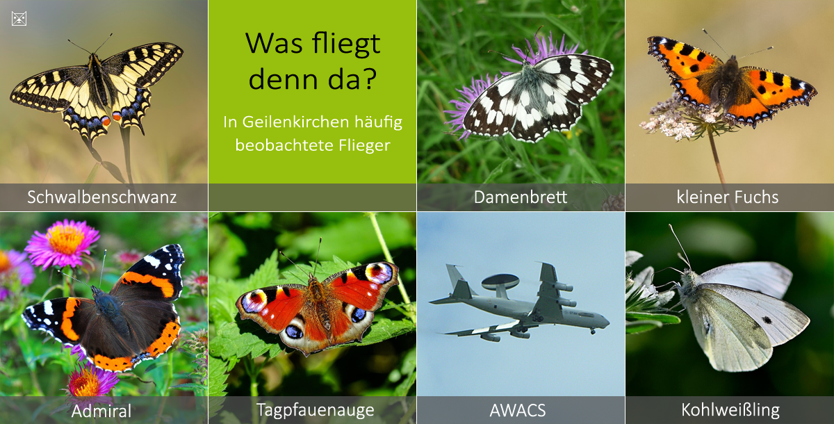 In Geilenkirchen fliegt alles M&ouml;gliche herum