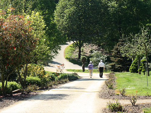 Willy-Dohmen-Park