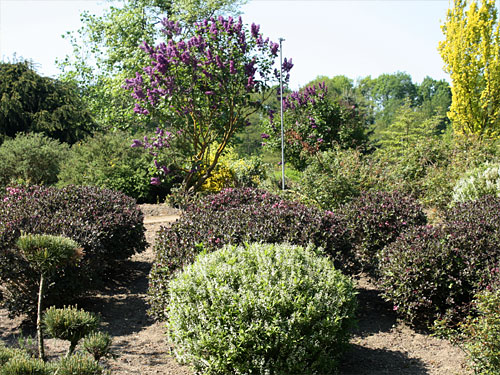 Willy-Dohmen-Park