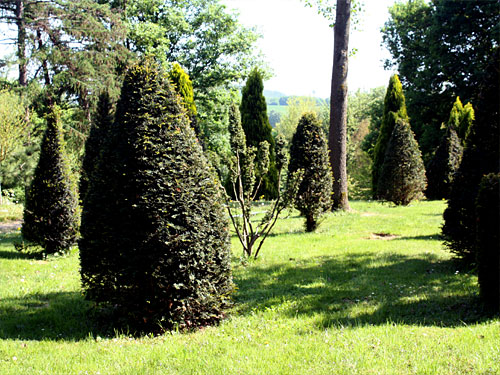 Willy-Dohmen-Park