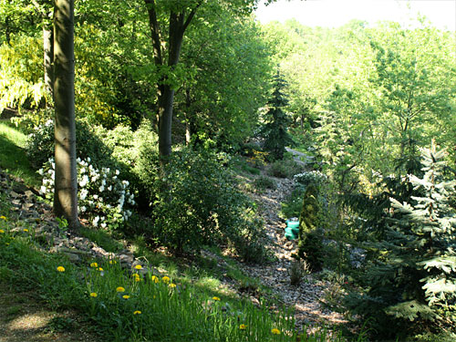 Willy-Dohmen-Park
