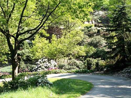 Willy-Dohmen-Park