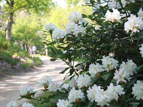 Willy-Dohmen-Park