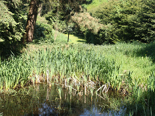 Willy-Dohmen-Park