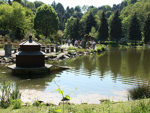 Willy-Dohmen-Park