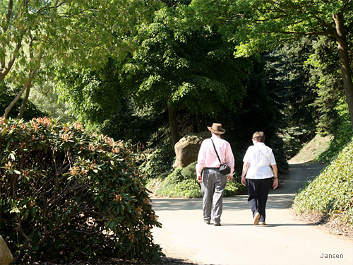 Willy-Dohmen-Park