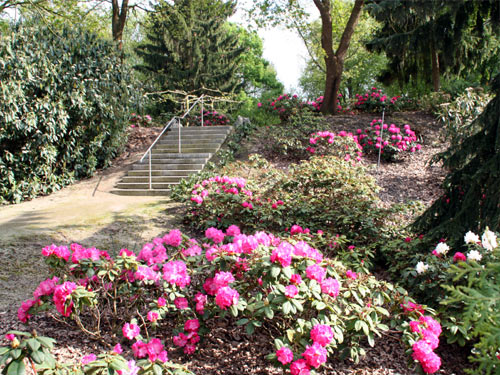 Willy-Dohmen-Park