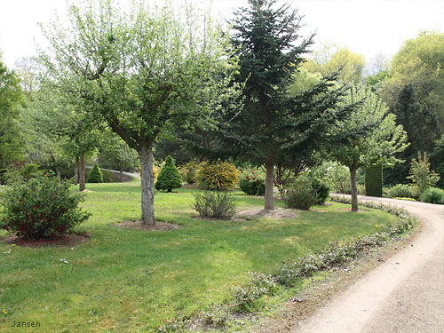 Willy-Dohmen-Park