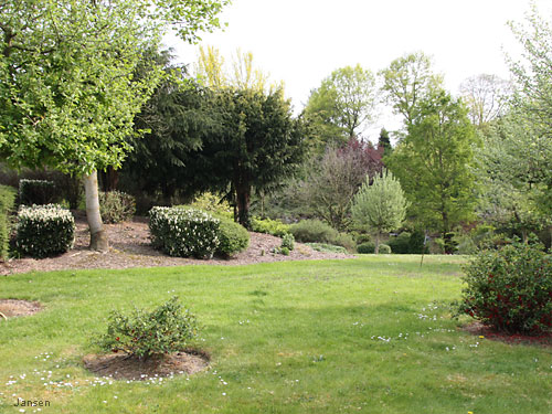 Willy-Dohmen-Park