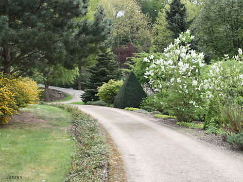 Willy-Dohmen-Park