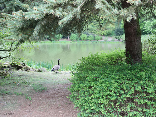 Willy-Dohmen-Park