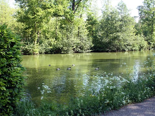 Kahnweiher Gangelt Bootsverleih