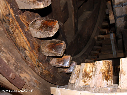 Windmühle Haaren