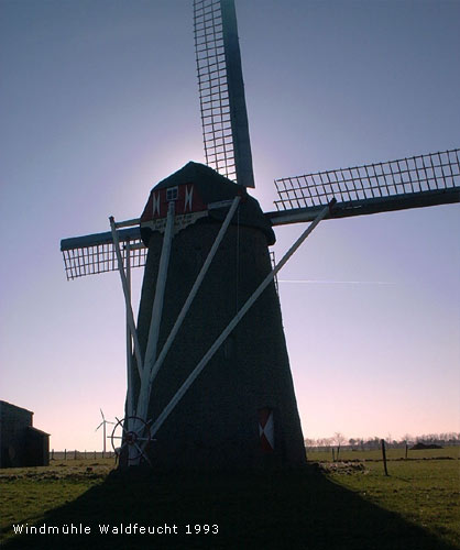 Erdholländer in Waldfeucht